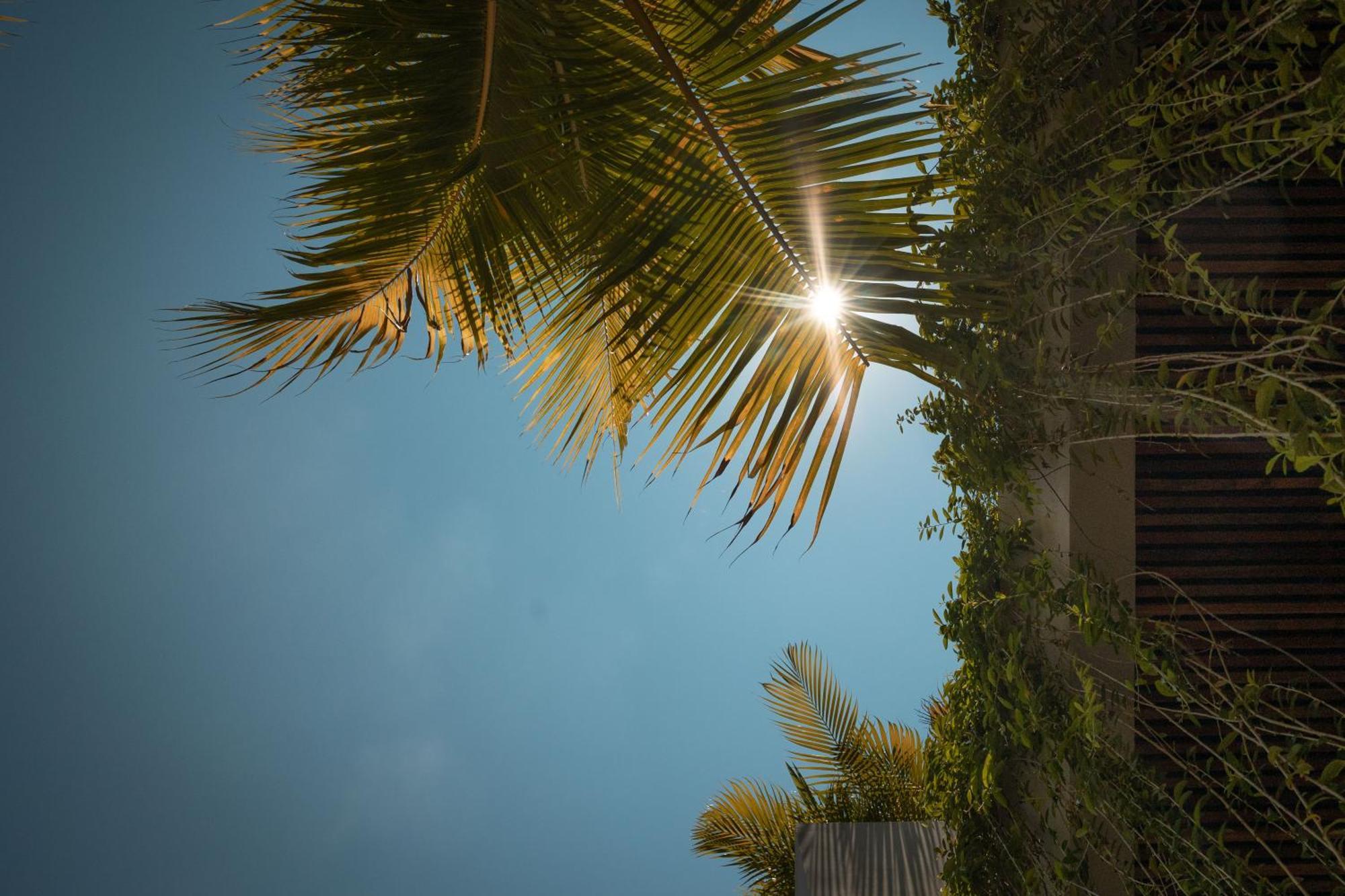 Villa Feh Bali By House Of Winds - Neo Tropical Eden Near Canggu Kerobokan Exterior foto